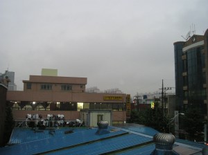 The rainy view from my window.