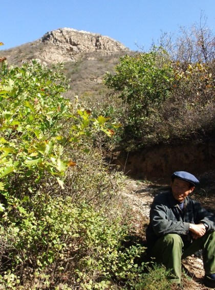 Our Fearless Leader.