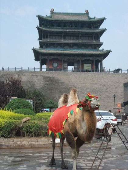 12029557_10153265765821701_1215534775588259030_o